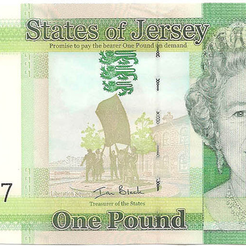 1 фунт, 2010 год