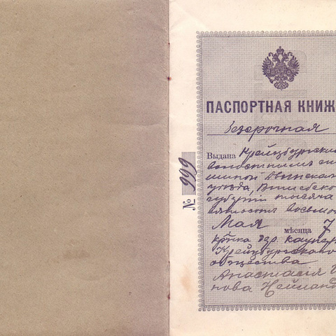 Паспортная книжка 1908 год