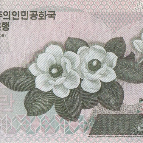 100 вон, 2008 год UNC