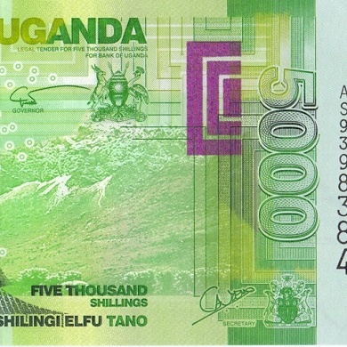 5000 шиллингов, 2010 год UNC