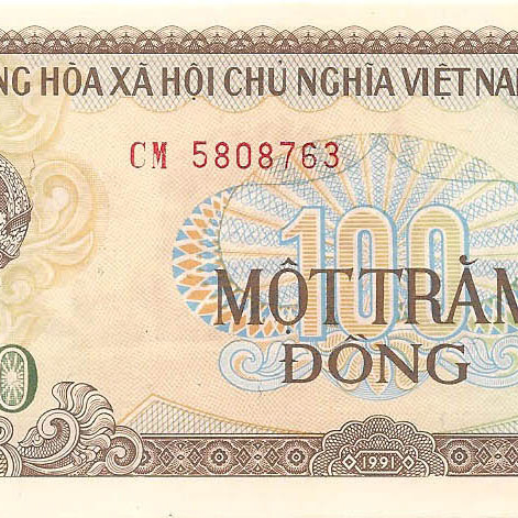 100 донг, 1991 год