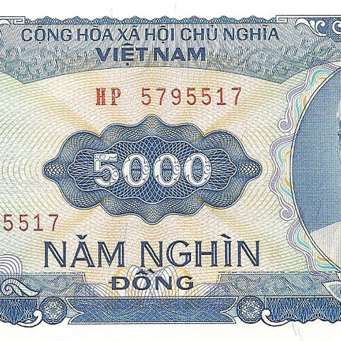 5000 донг, 1991 год