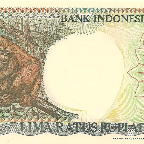 500 рупий, 1992 год