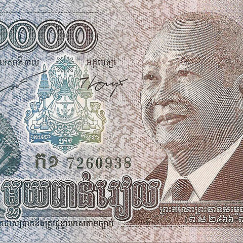 1000 риэлей, 2013 год