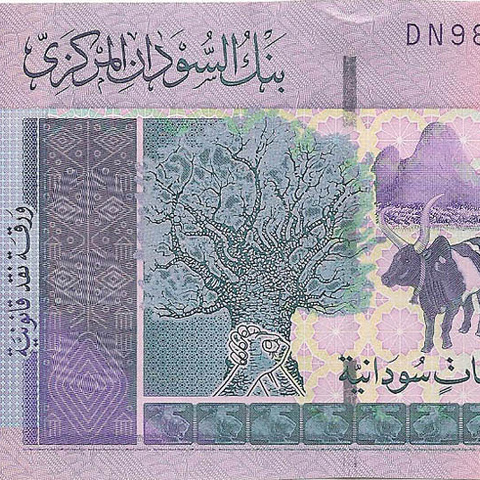 10 суданских фунтов, 2006 год