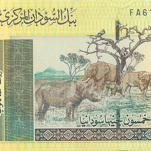50 суданских фунтов, 2006 год