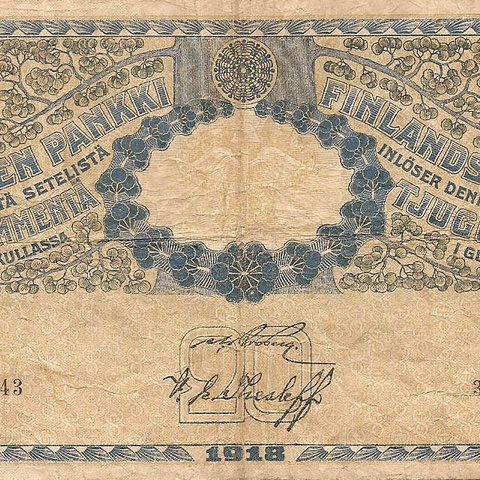 20 марок, 1918 год