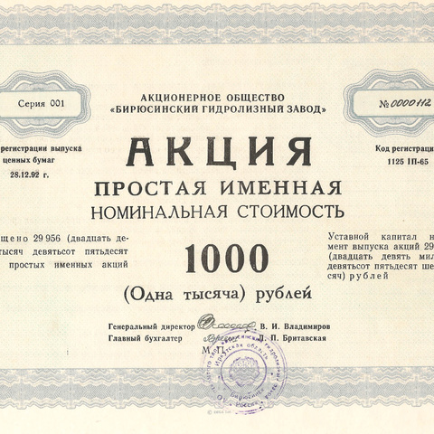 АО Бирюсинский Гидролизный завод, акция простая именная 1000 рублей, 1992 год