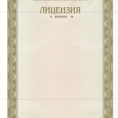 Лицензионная палата Самарской области. Лицензия. ОБРАЗЕЦ