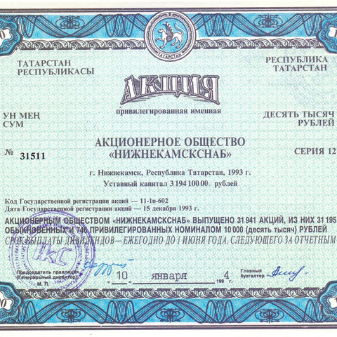 АО Нижнекамскснаб, 1993 год