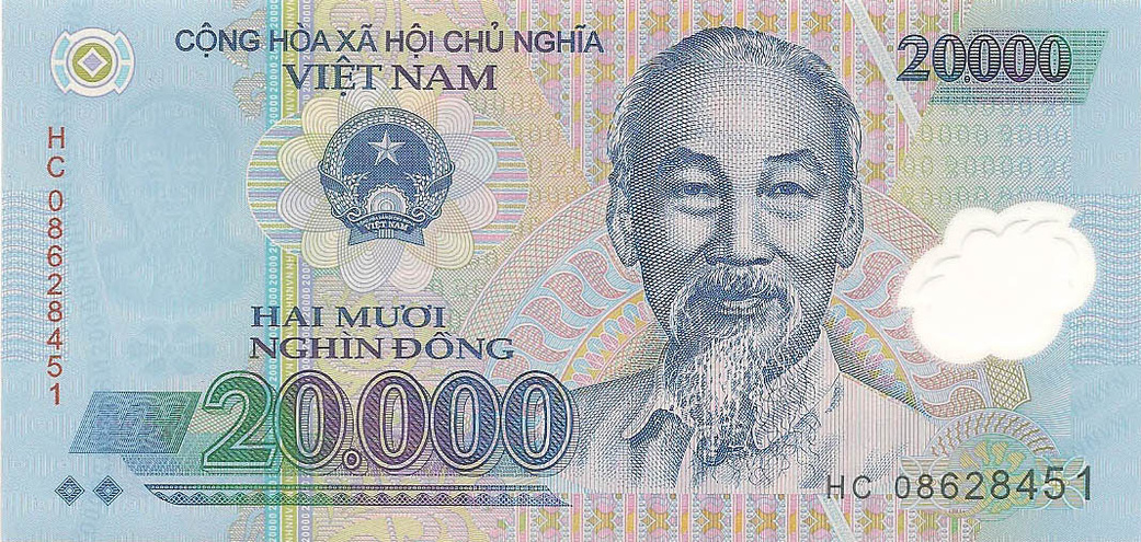 20000 донг, 2008 год