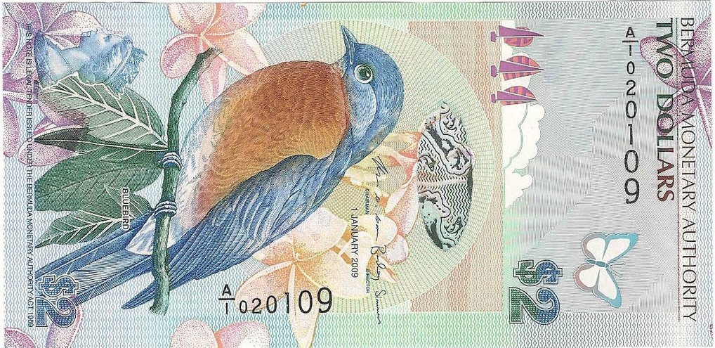 2 доллара, 2009 год