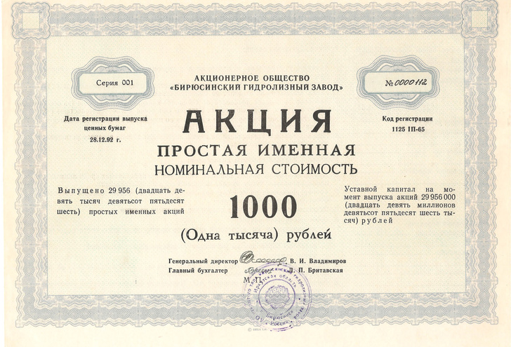 АО Бирюсинский Гидролизный завод, акция простая именная 1000 рублей, 1992 год