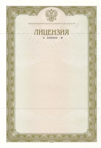 Лицензионная палата Самарской области. Лицензия. ОБРАЗЕЦ